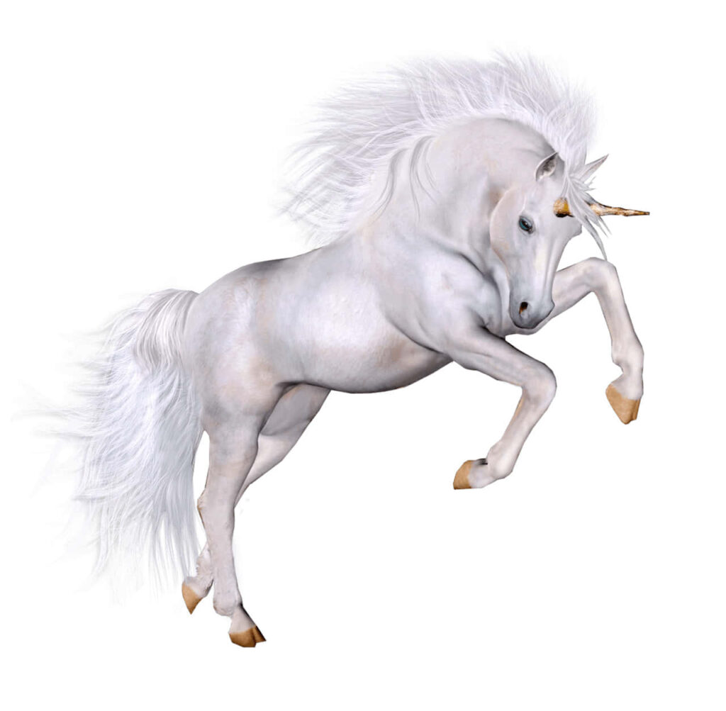 Majestic White Unicorn Rearing Against a Plain White Background Wallpaper