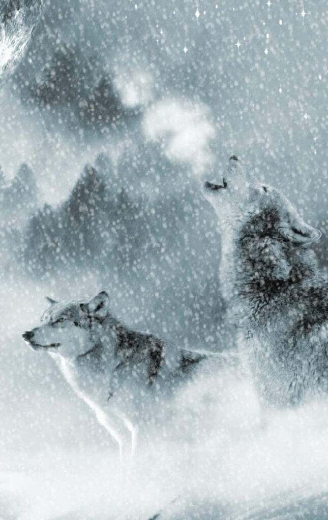 Majestic Winter Wolves Howling in Snowy Landscape Wallpaper