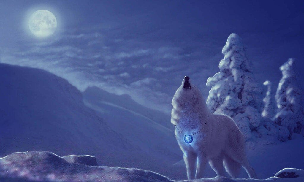 Majestic Wolf Howling Under Moonlight - Serene Snowy Wallpaper