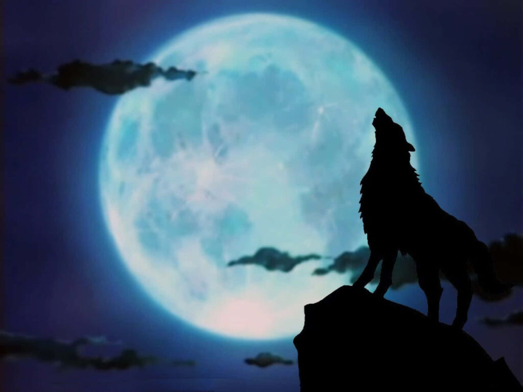 Majestic Wolf Silhouette Against Full Moon - Serene Night Background Wallpaper