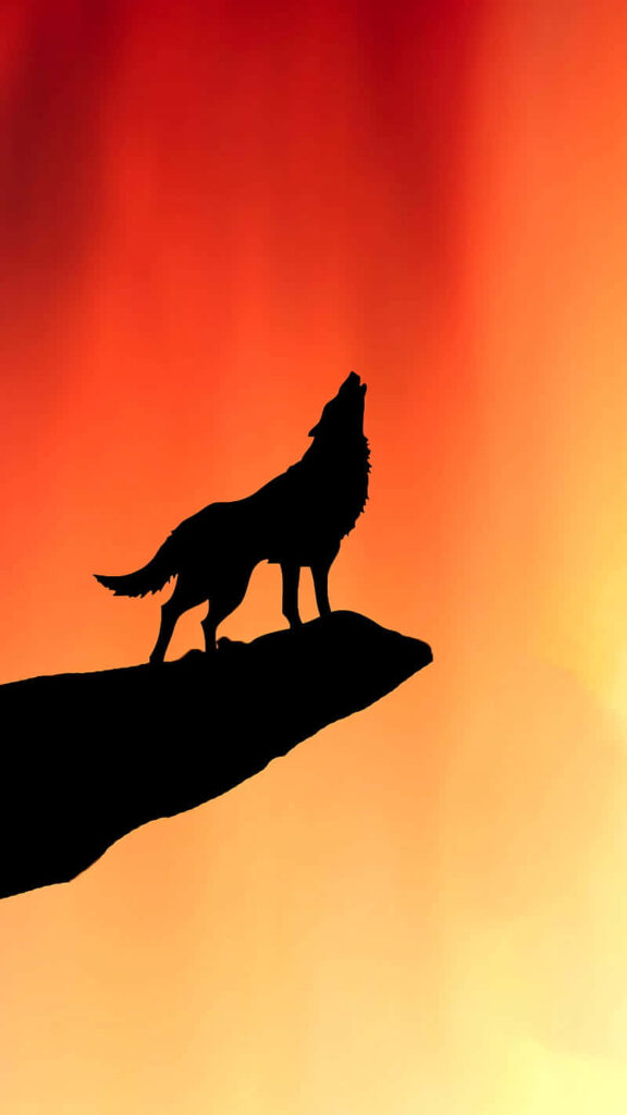 Majestic Wolf Howling on Cliff at Sunset - Dramatic Wallpaper