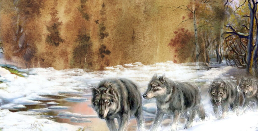 Unity in Motion: Wolf Pack in Snowy Wilderness at Sunset Wallpaper