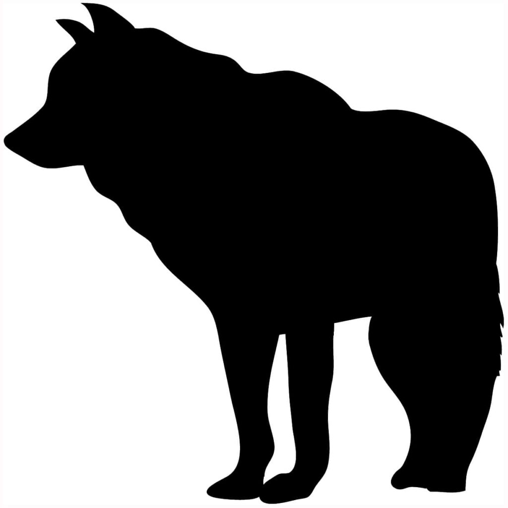Majestic Wolf Silhouette on Colorful Vibrant Background Wallpaper