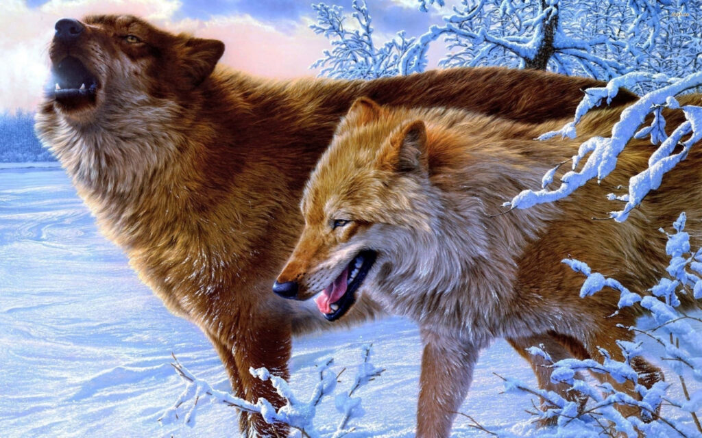 Majestic Wolves in Snowy Landscape: Howling at Dusk/Dawn Wallpaper