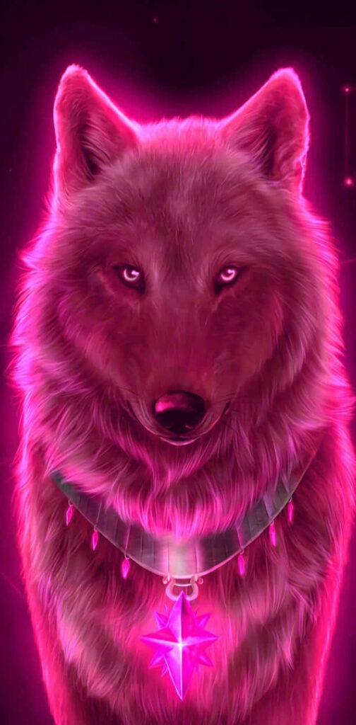 Majestic Wolf Wallpaper: Fierce Gaze & Mystical Pink Glow Background