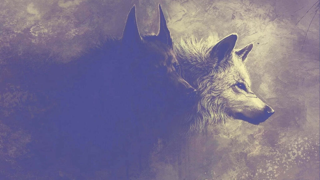 Majestic Wolf Wallpaper: Intense Gaze Against Dark Misty Background
