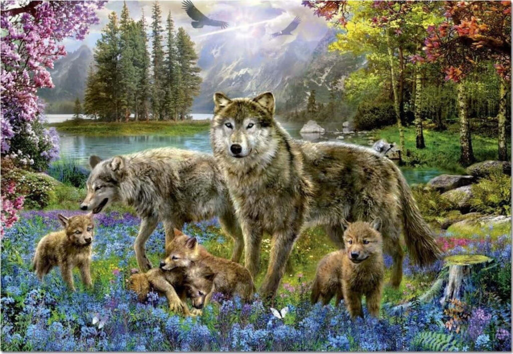 Majestic Wolves in Lush Summer Forest Wallpaper Background