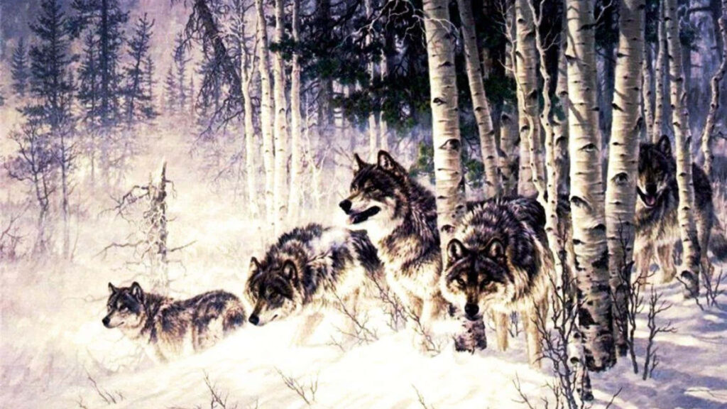Stunning Wolves in Snowy Birch Forest - Majestic Winter Wallpaper