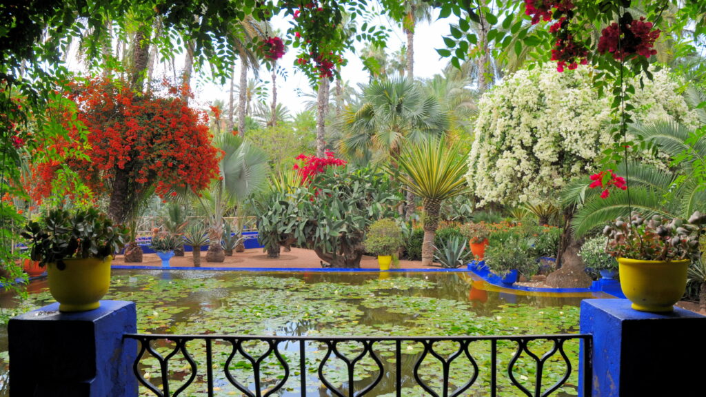 A Vibrant Oasis: Majorelle Garden Unveils its Magical Botanical Tapestry in QHD Wallpaper