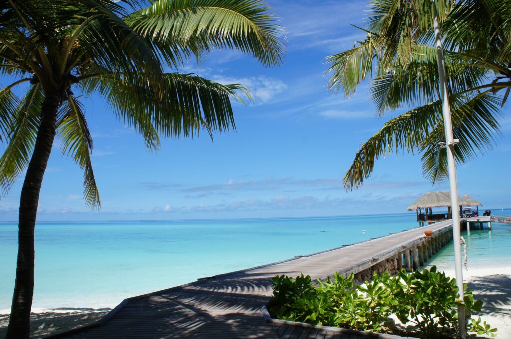 Maldives beach with turquoise water wooden pier palm trees vibrant sky tropical paradise wallpaper