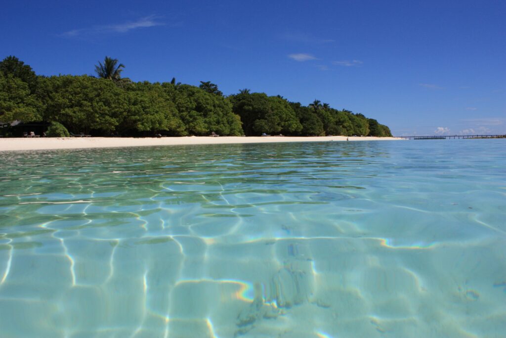 Maldives coastline wallpaper turquoise sea golden beach lush greenery vibrant blue sky summer
