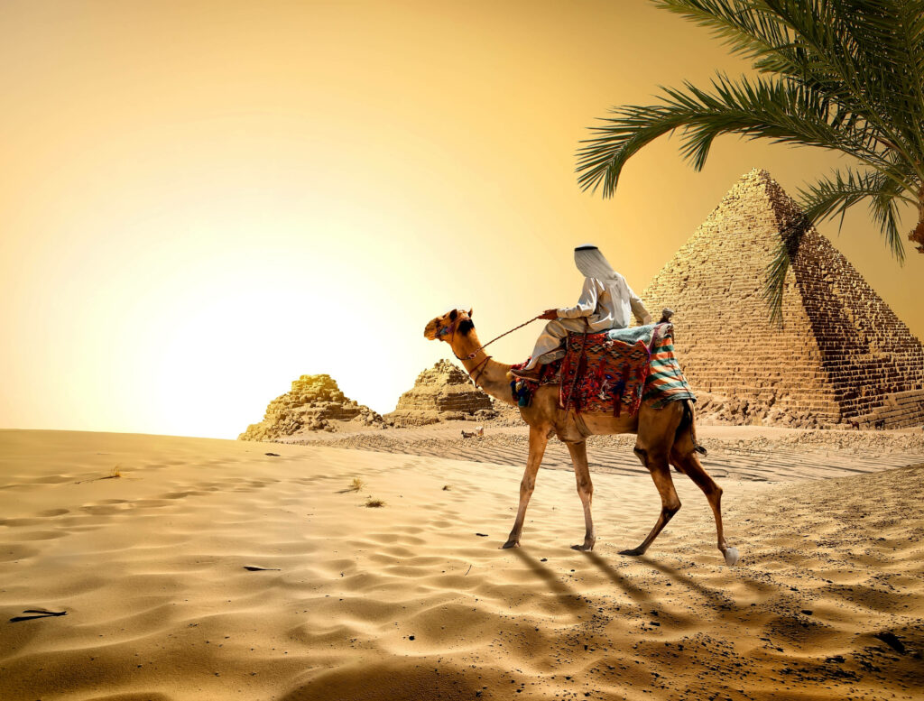 Man riding camel across golden desert sands at sunset with pyramids and palm tree backdrop Wallpaper