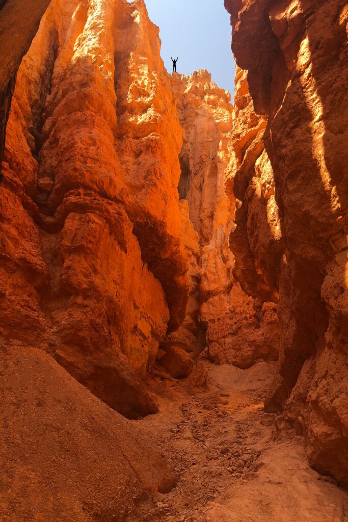 Man standing triumphantly on rugged sandstone canyon walls with sunlit orange rock formations Wallpaper