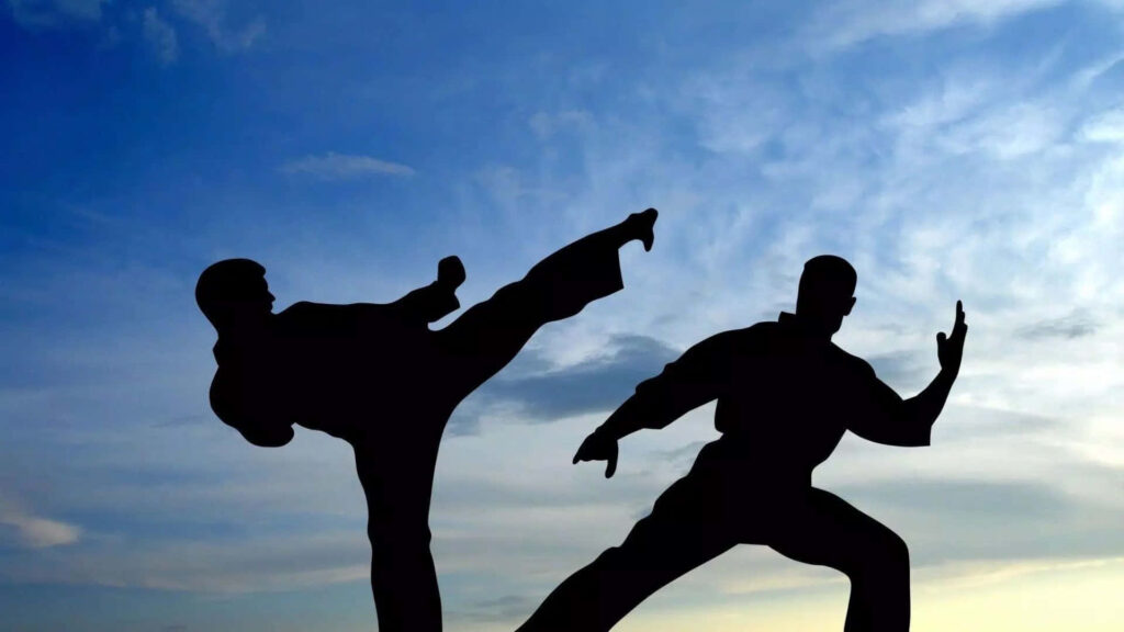 Martial Artists Silhouette Wallpaper - Artful Action Against Blue Sky