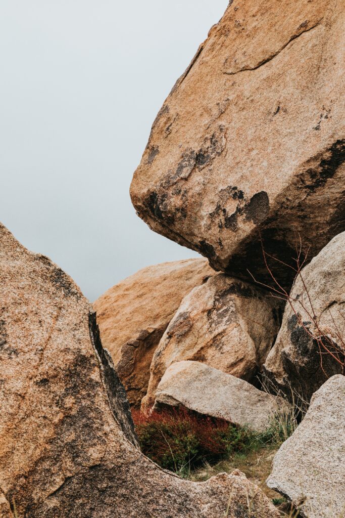 Massive rugged stones with dry branches and sparse grass in earthy brown tones wallpaper background