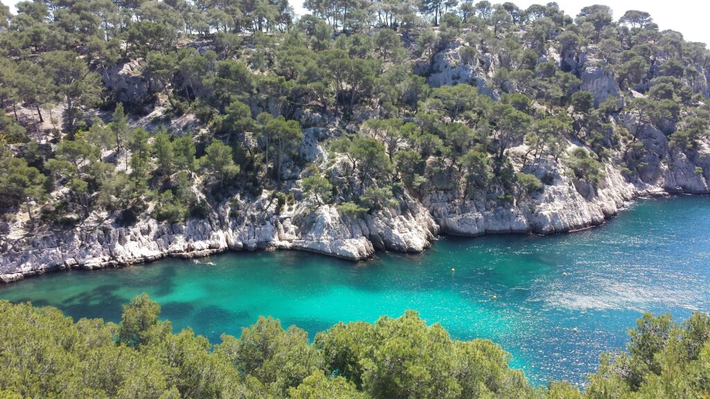 Mediterranean coast near Marseille with turquoise waters rocky cliffs and green pine trees Wallpaper