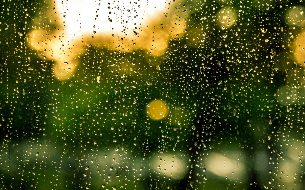 Melancholic raindrops on glass with dreamy green bokeh and warm blurred light QHD wallpaper