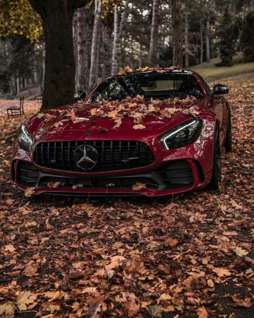 Mercedes AMG GT R sports car covered in autumn leaves with vibrant fall foliage background Wallpaper