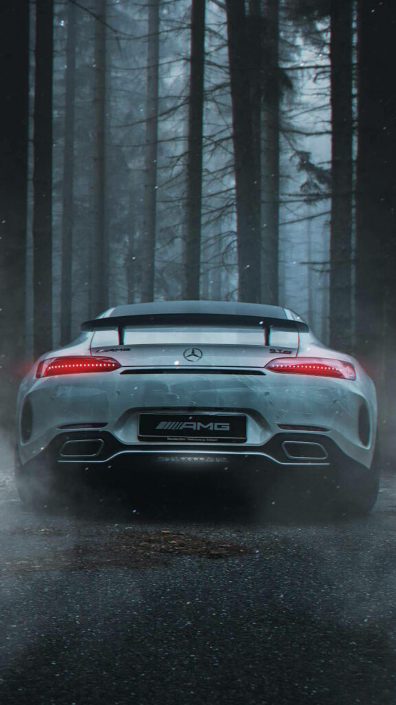 Mercedes-AMG parked on misty forest road showcasing striking rear design and illuminated taillights Wallpaper