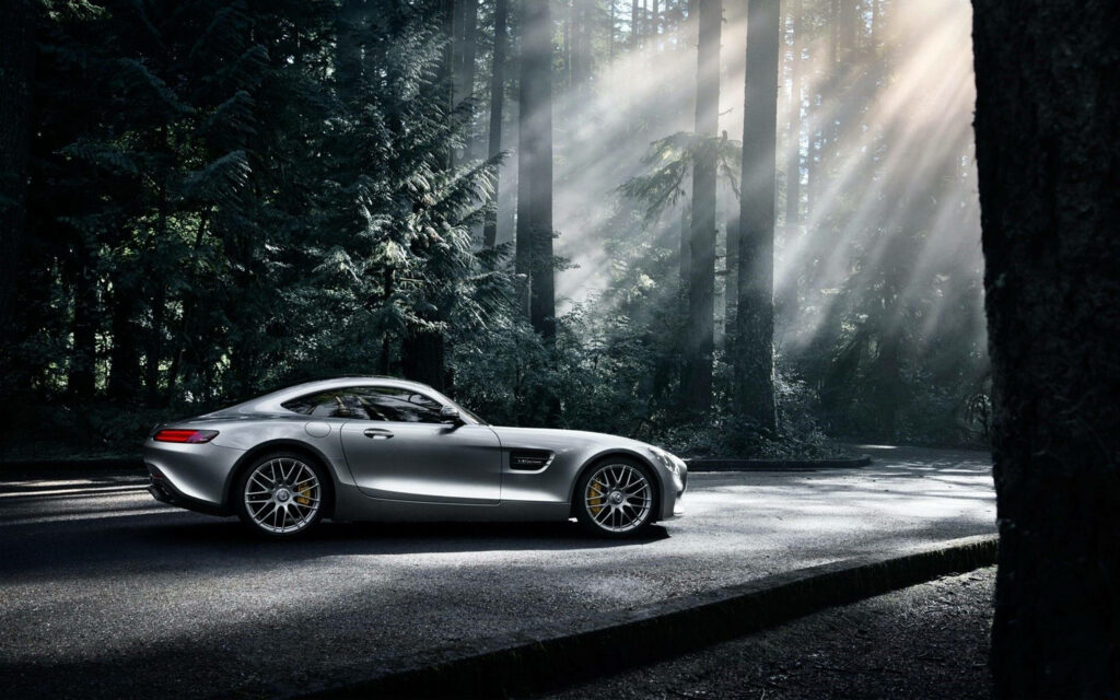 Mercedes AMG parked on quiet forest road with sunlight rays filtering through tall trees in 4K Wallpaper