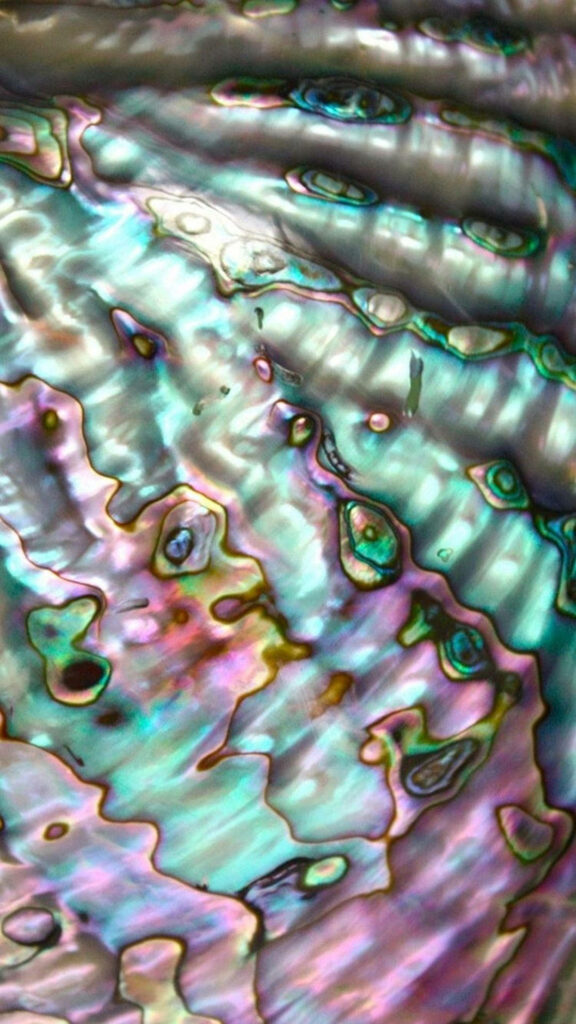 Colorful Abalone Shell Wallpaper: Vibrant Pastel Hues & Textures