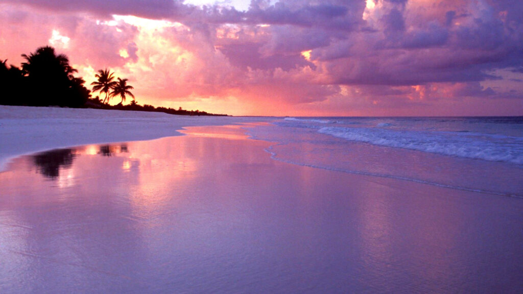 Stunning Beach Sunset Wallpaper with Silhouetted Palm Trees