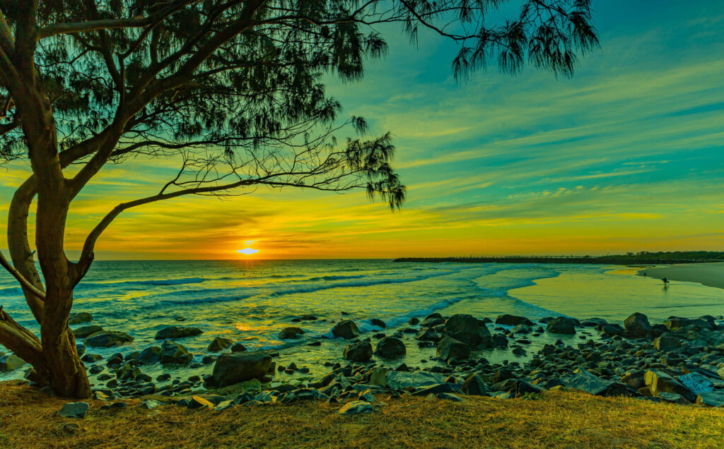 Vibrant Beach Sunset Wallpaper: Relaxing Ocean and Tree Silhouette
