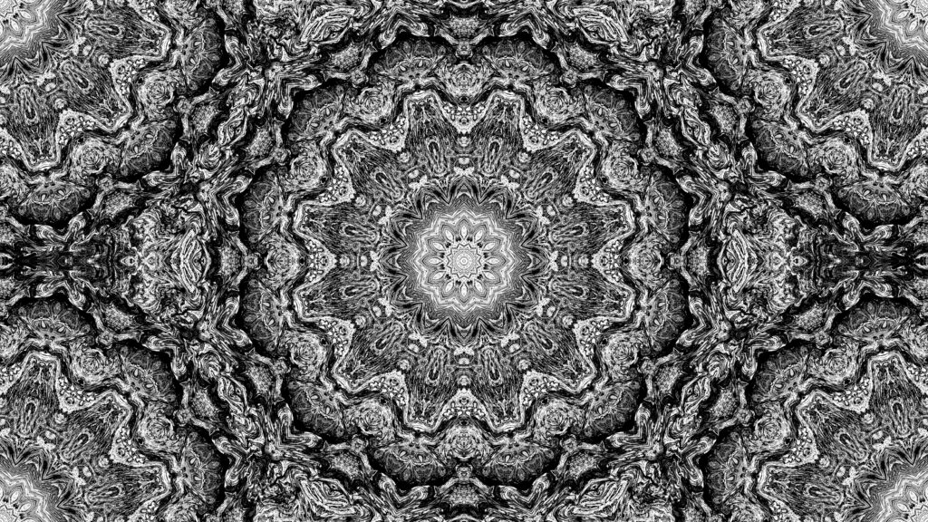 Mesmerizing Black and White Fractal Wallpaper with Symmetrical Designs