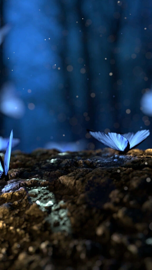 Enchanting Blue Butterfly Wallpaper: Serene Forest Ambiance Background