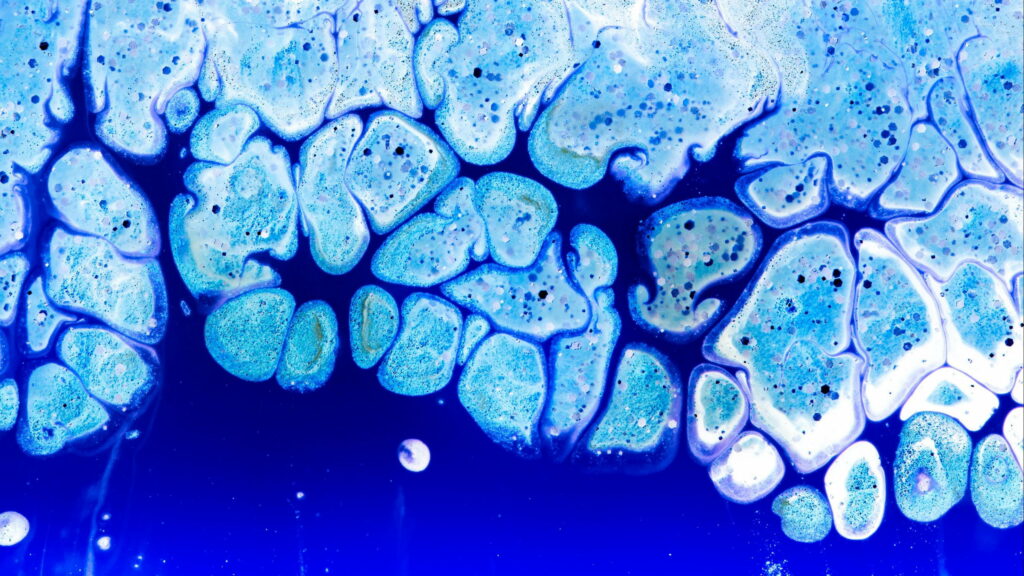 Stunning Blue and White Paint Swirls: A Mesmerizing QHD Wallpaper