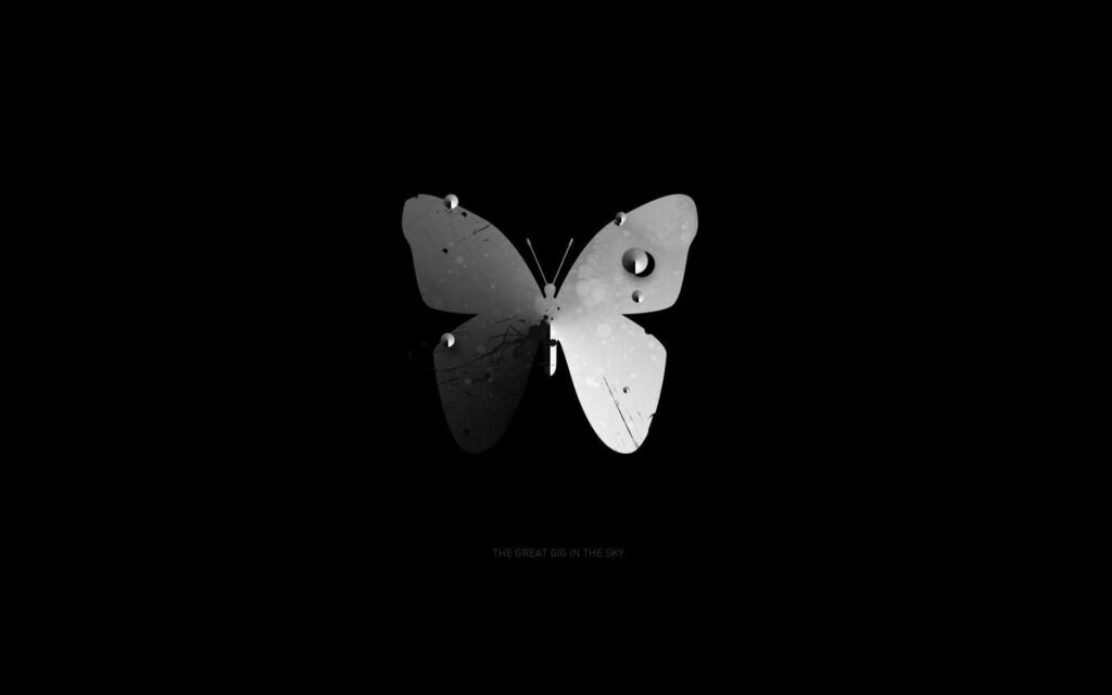 Elegant Butterfly Wallpaper: Striking Dark Tones & Minimalist Style