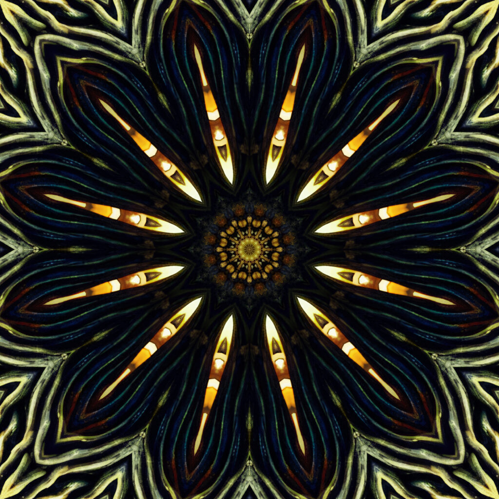 Mesmerizing Flower Fractal Wallpaper - 5000x5000 Background Design