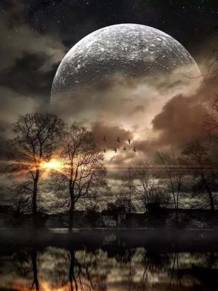 Enchanting Full Moon Wallpaper: Night Sky, Trees, and Serene Waters