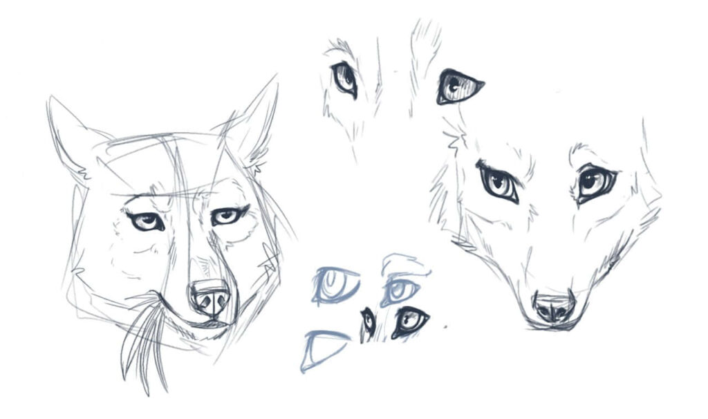 Captivating Grey Wolf Sketch with Intense Eyes - Stunning Wallpaper