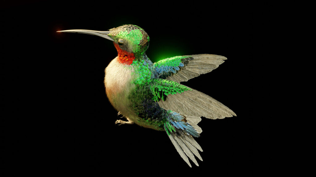 Stunning Hummingbird Wallpaper: Vibrant Feathers on Dark Background