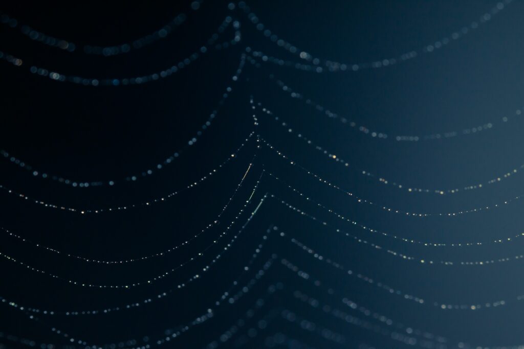 Enchanting Cobweb Macro with Water Drops - Serene Wallpaper Background