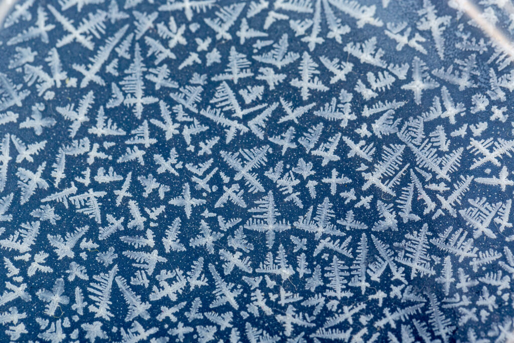 Intricate Frost Patterns: Mesmerizing Macro Wallpaper Background