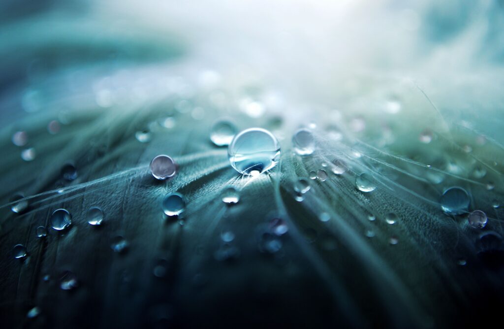 Stunning Macro Water Droplets on Leaf - Serene Blue Wallpaper