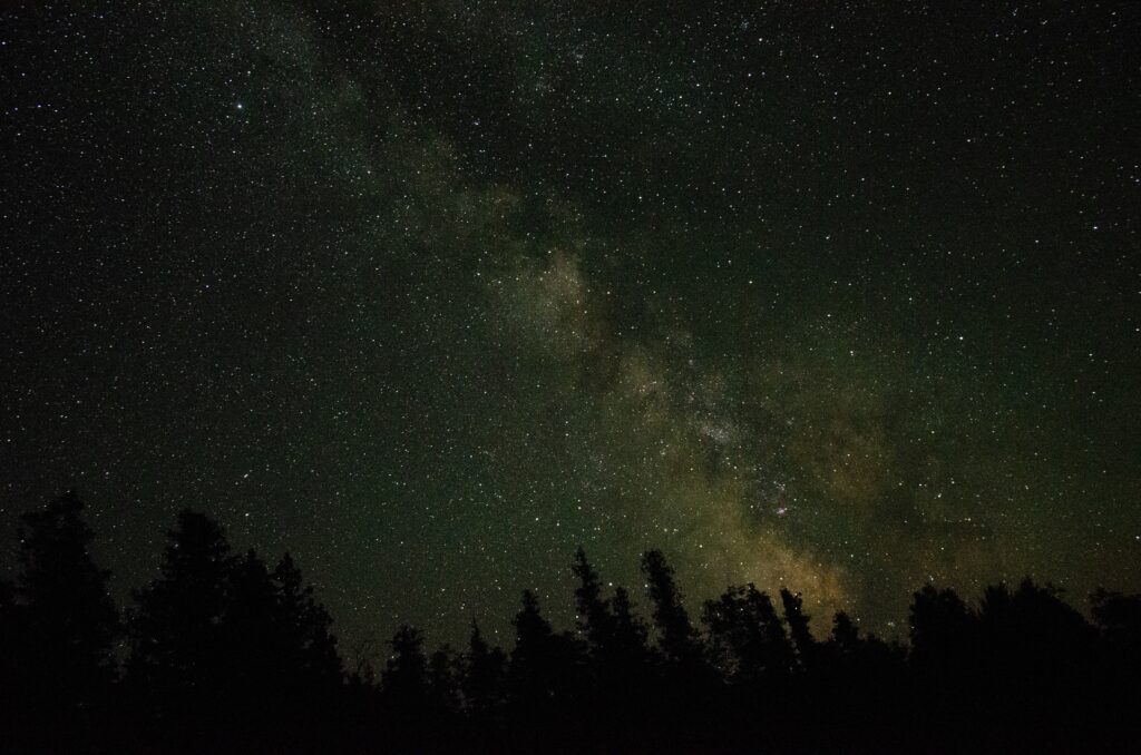 Night sky wallpaper with glowing Milky Way stars above tree silhouettes for cosmic beauty