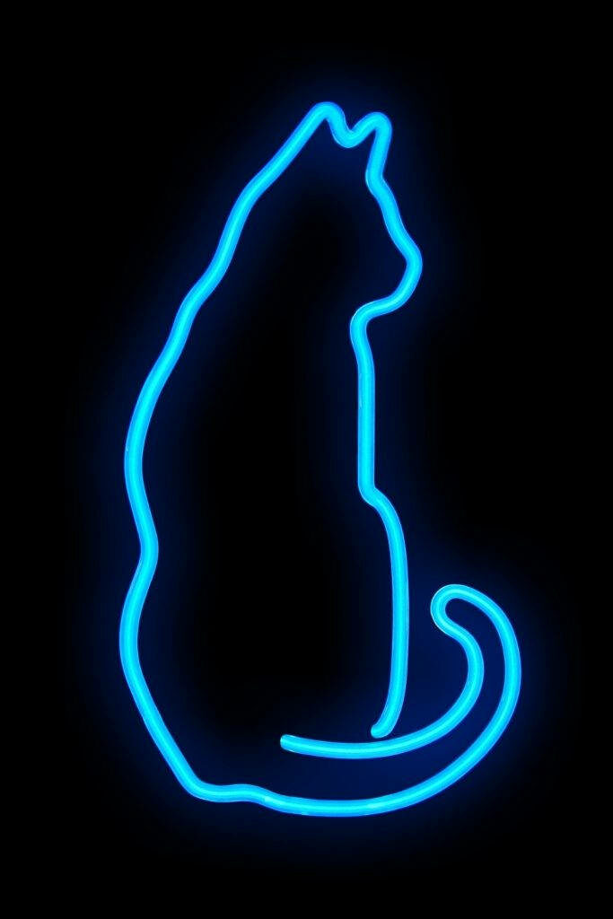 Feline Elegance Illuminated: Mesmerizing Neon Blue Cat against a Noir Canvas Wallpaper
