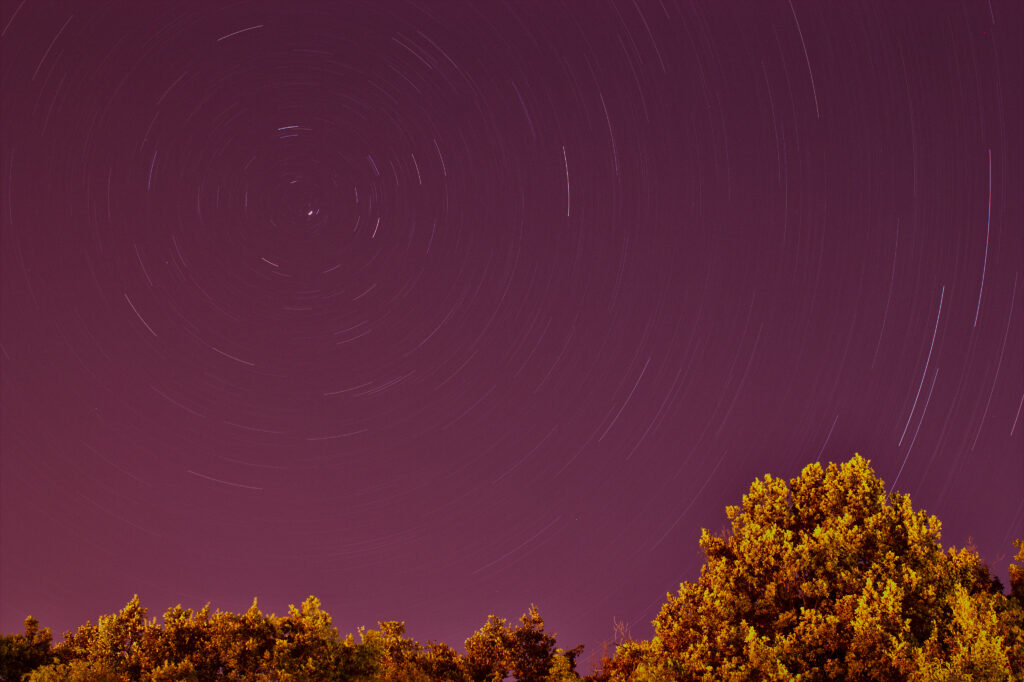 Long exposure night sky with swirling star trails above green trees in purple pink hues wallpaper