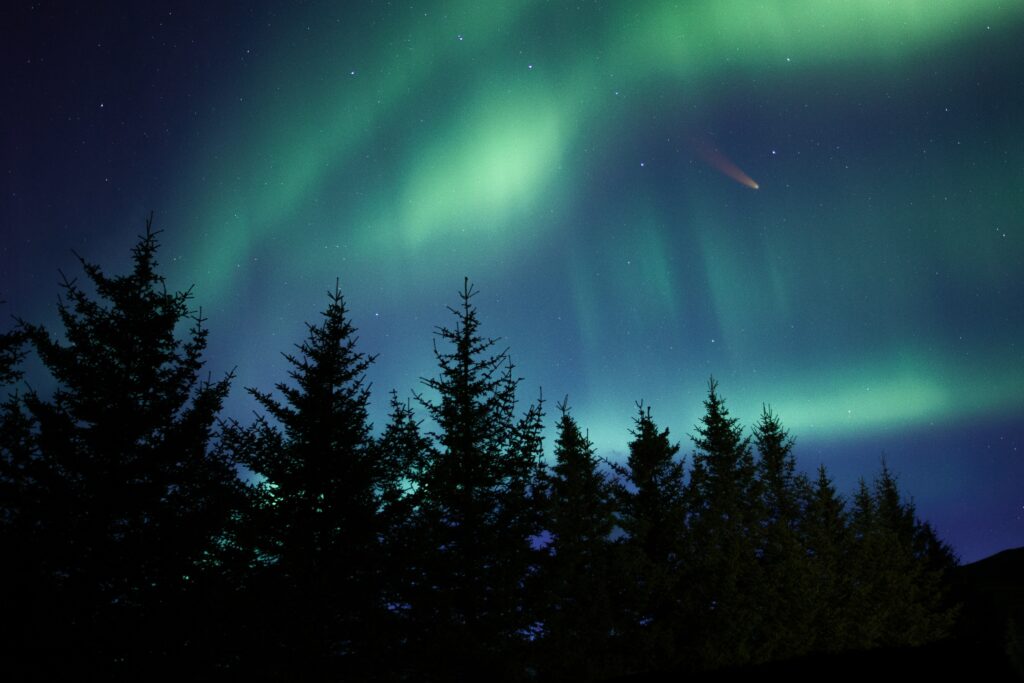 Northern lights glowing green over spruce trees under starry night sky serene magical scene Wallpaper