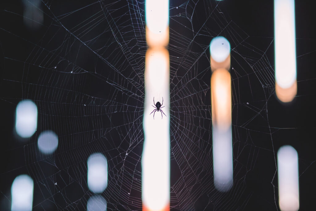 Mesmerizing Spider in Ethereal Cobweb - Dark Background Wallpaper