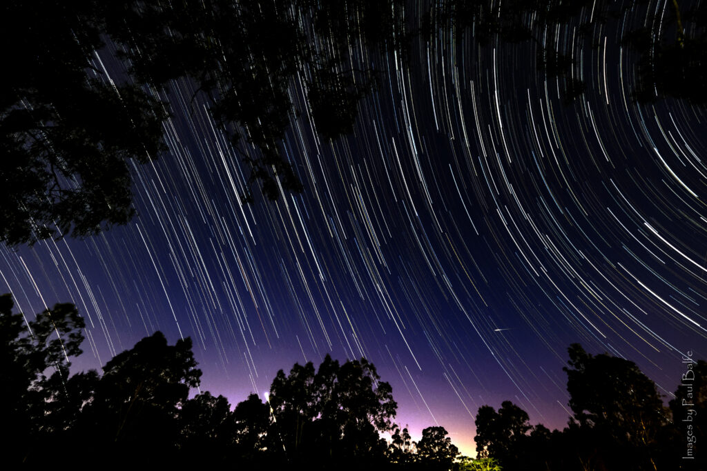 Night sky with swirling star trails and tree silhouettes in deep blue and purple hues wallpaper