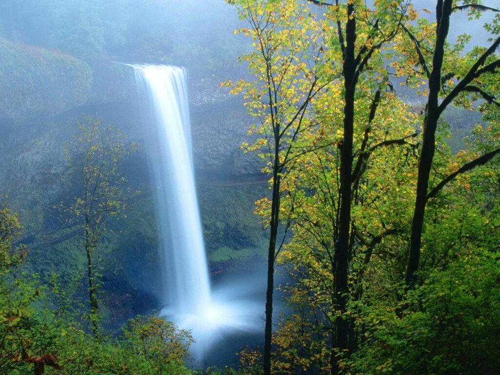 Graceful waterfall cascading into misty pool surrounded by lush green trees and soft sunlight Wallpaper