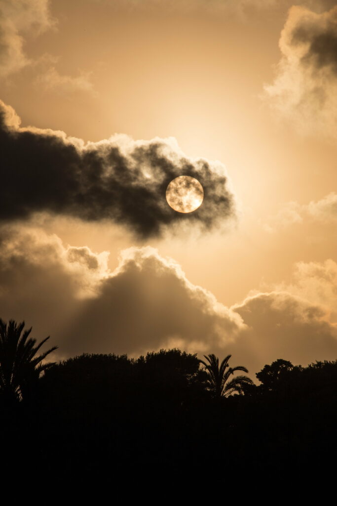 Stunning HD Sunset Wallpaper with Silhouetted Trees & Dramatic Glow