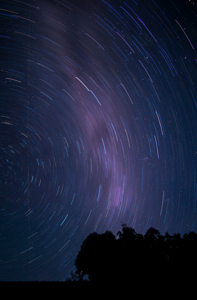 Galactic Time-Lapse Wallpaper: Vibrant Starry Sky & Tree Silhouette
