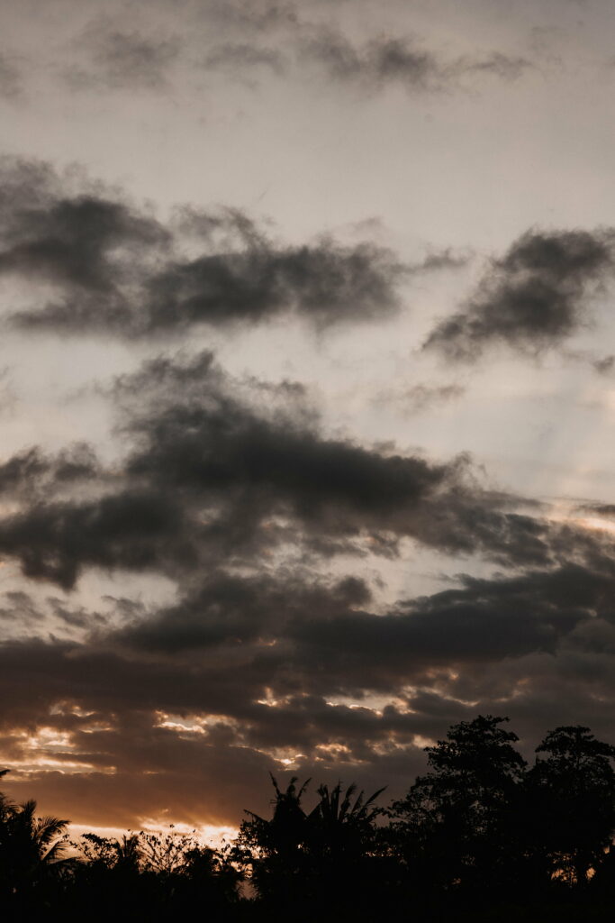 Twilight Serenity: HD Wallpaper of Trees Silhouetted at Sunset