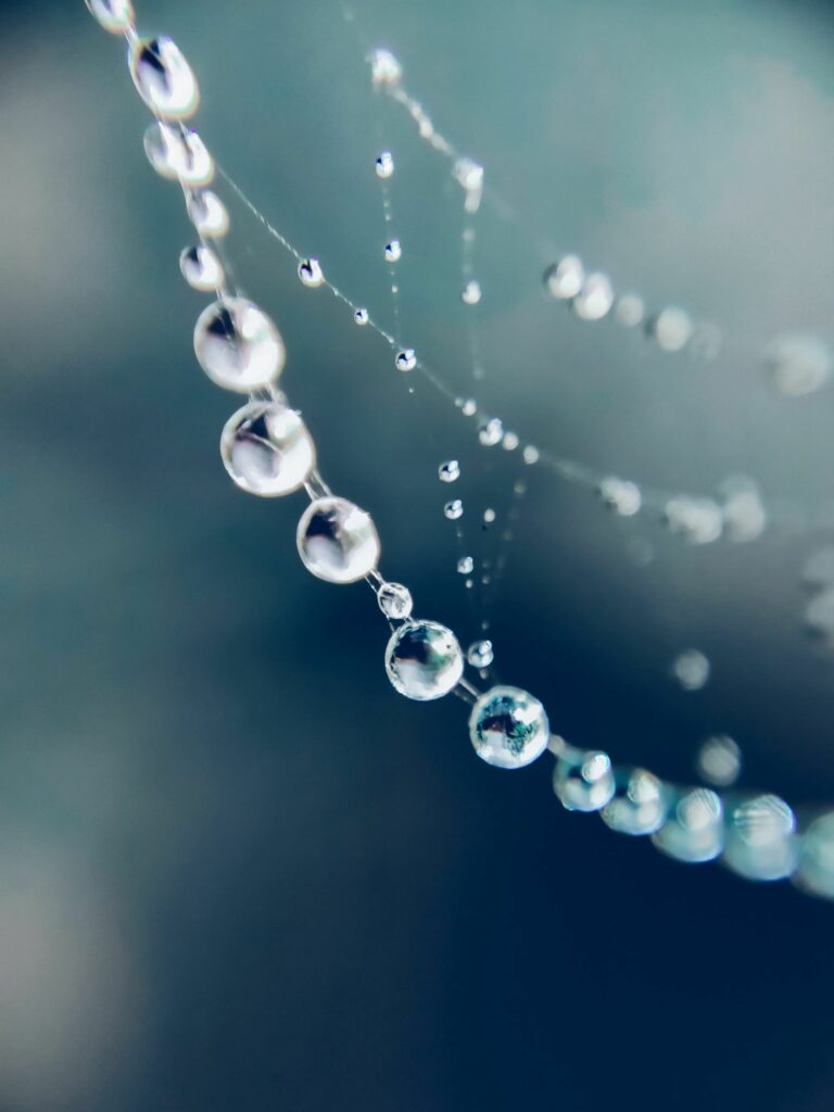 Macro Water Droplets on Web: Mesmerizing Light Reflections Wallpaper
