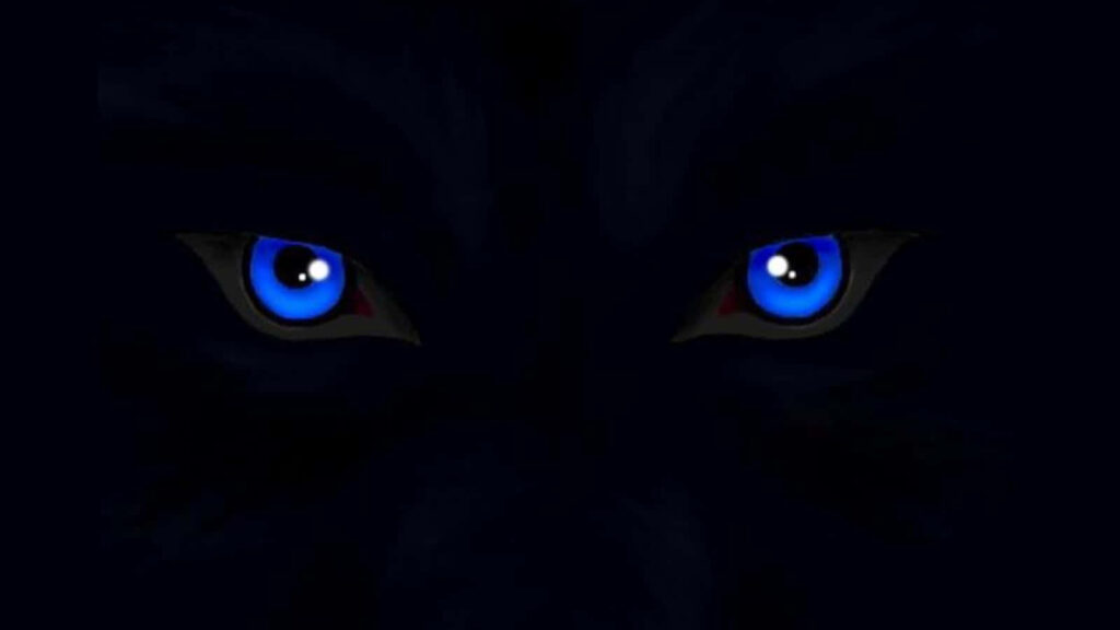 Mesmerizing Wolf Eyes Wallpaper: Vivid Blue on Dark Background